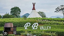 P B valley