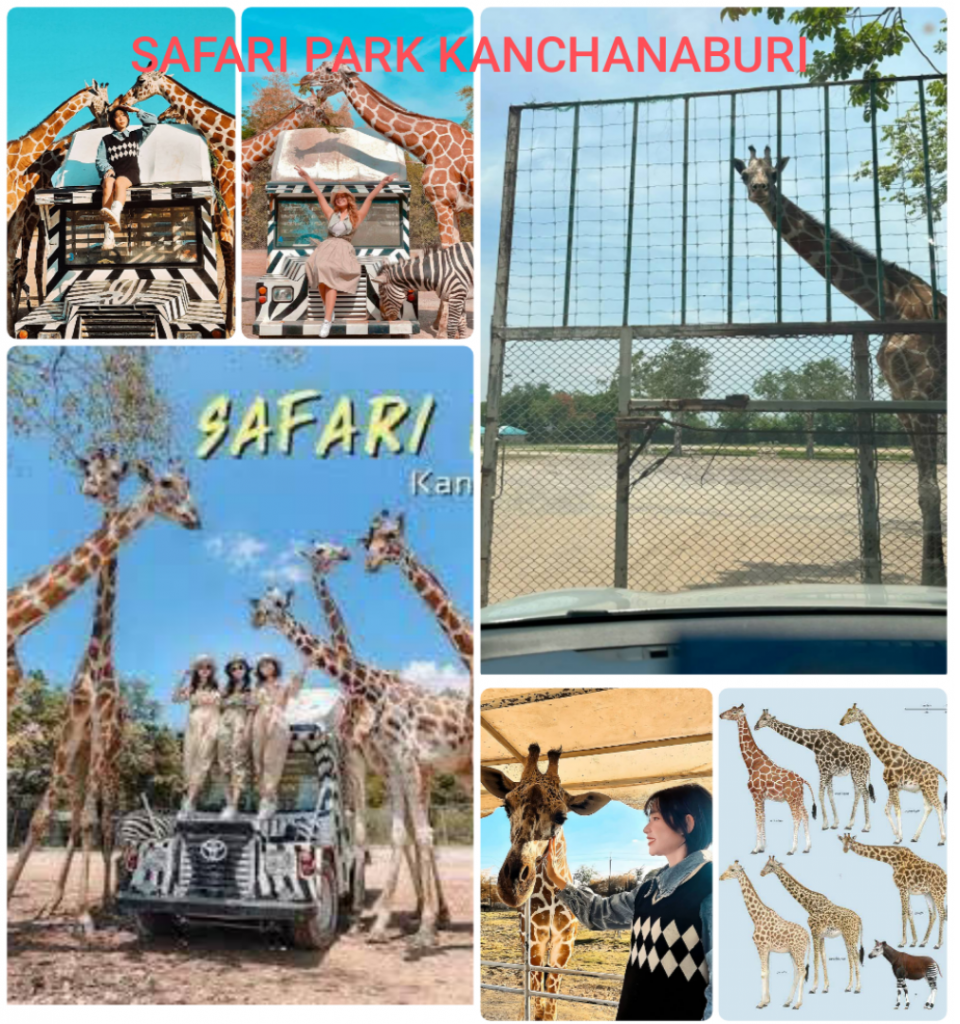 SAFARI PARK KANCHANABURI