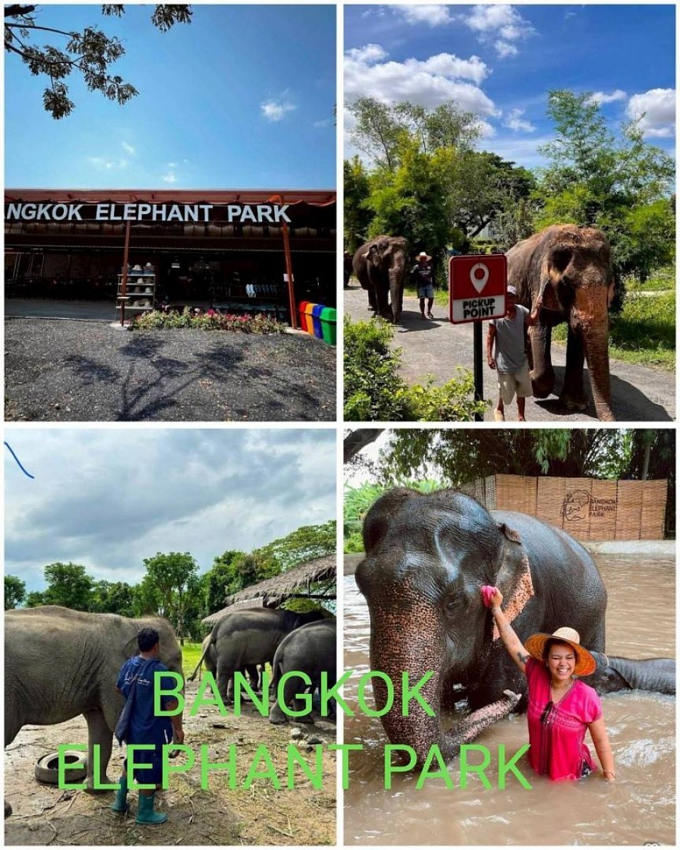 BANGKOK ELEPHANT PARK